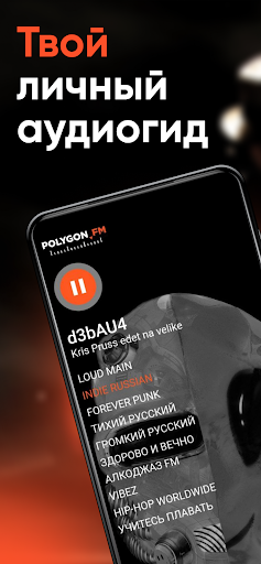 Android application Polygon.FM screenshort