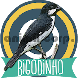Canto de Bigodinho HQ icon