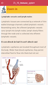Captura 6 Anatomy & Physiology MIE NCLEX android