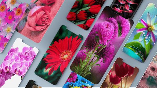 Screenshot of Flower Wallpapers