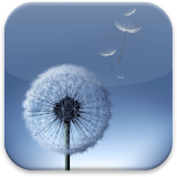 Dandelion S3 Launcher Theme icon