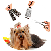 Top 25 Parenting Apps Like Dog Care & Grooming Guide - Best Alternatives
