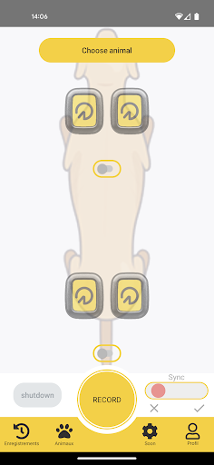 Tendiboots™ canine Screen 2