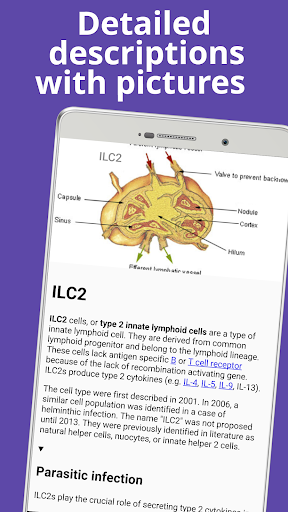 Cell biology Screen 2