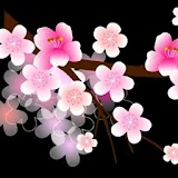 3D cute cherry blossom icon