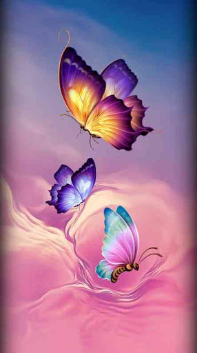 Android application Beautiful Butterfly Wallpaper screenshort