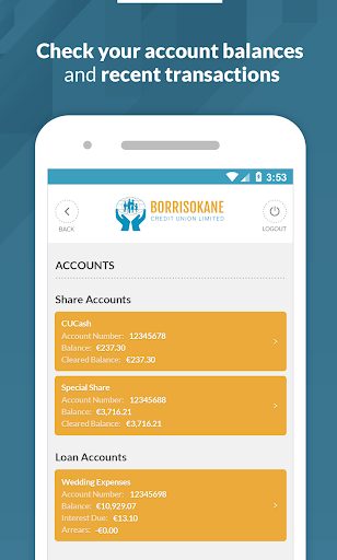 Borrisokane Credit Union Screen 2