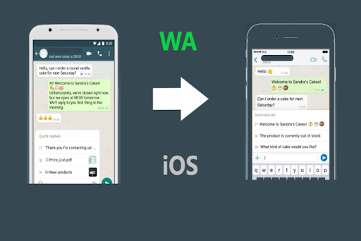 Cara Tema WA ke iOS Screen 3