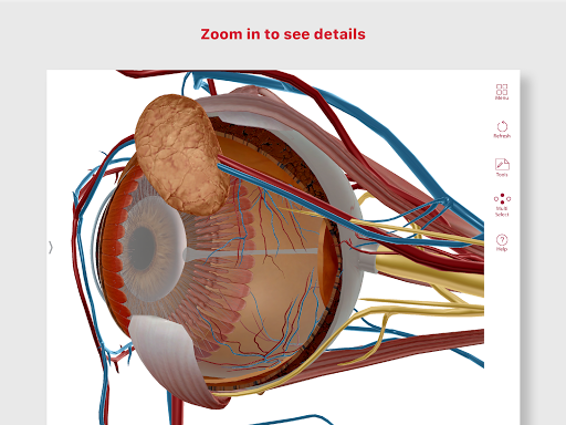 Anatomy & Physiology - Medical - apps