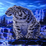 Winter Tiger Live Wallpaper icon