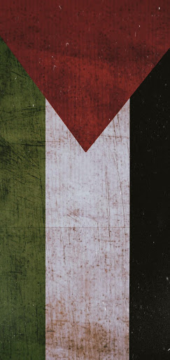 Palestine Flag