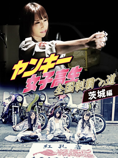 ヤンキー女子高生 全9巻セットとヤンキー女子高生全国制覇への道 全4巻 計13枚 Amazon.co.jp: ヤンキー女子高生 全国制覇への道 埼玉編、東京編、千葉