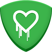 Heartbleed Security Scanner