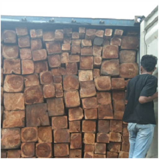 Hitung Harga Volume Kayu Jati