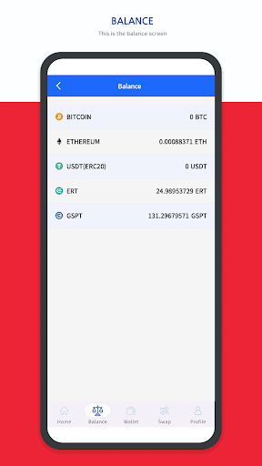 Express-Remit Screen 3