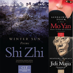 Icon image Chinese Literature Today Book Series