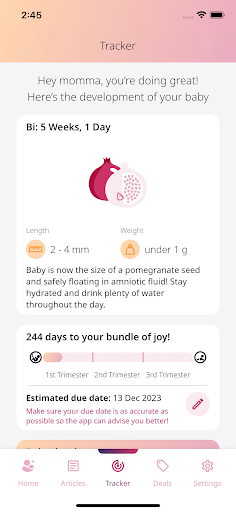 Mommy+ Pregnancy Tracker Screen 2