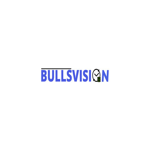 BullsVision logo