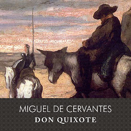 Obraz ikony: Don Quixote