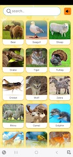 Real Animal sounds 3
