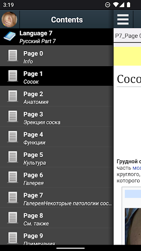 Предварительный просмотр приложения