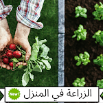 Cover Image of Download كيفية الزراعة في البيت 2 APK