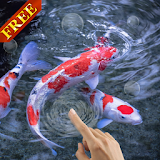 Koi fish Live Wallpaper icon