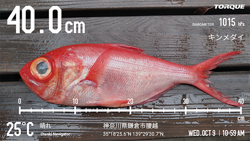 Android application カメラアプリ(Fishingモード) screenshort