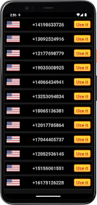 USA Phone Numbers, 2nd Number Unknown