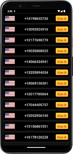 USA Phone Numbers, 2nd Number