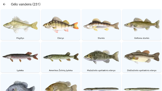 Ekrano kopijos vaizdas