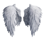KNOW YOUR ANGELS - Know About Your Guardian Angel icon