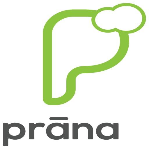 Prana Pos logo