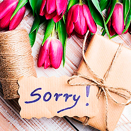 Sorry stickers for WhatsApp: Download & Review