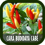 Cover Image of Unduh Cara Budidaya Cabe 3.0 APK