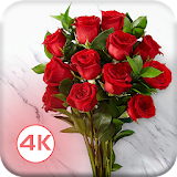 HD Rose Flowers Live Wallpaper icon