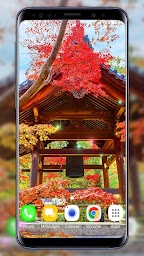 Zen Garden Live Wallpaper