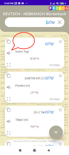 Hebrew-German Dictionary+ Screen 2