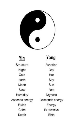 Android application Yin Yang Lessons screenshort