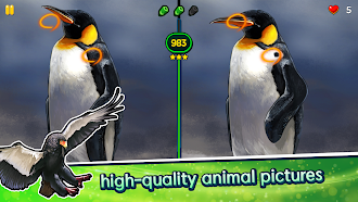 Game screenshot Find the Difference - Animals hack