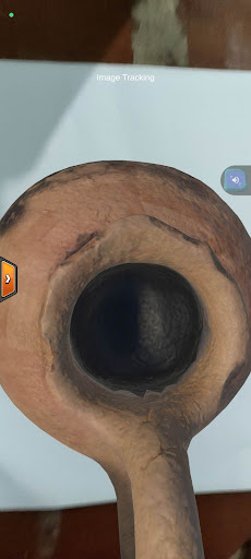 Android application Amazonas Ancestral screenshort