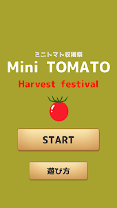 ミニトマト収穫祭/Mini TOMATO Harvest f