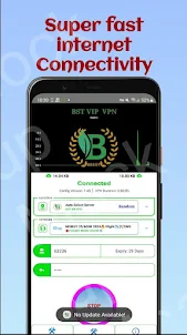 BST VIP VPN
