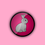 Cover Image of Download Memory Rabbit  APK