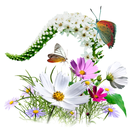 Relax and Music Logo