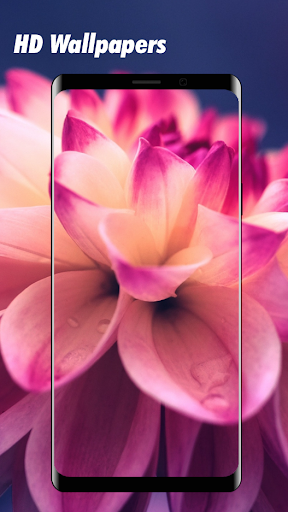 Latest Wallpaper HD 2021