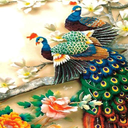 About: ColorFul Peacock LiveWallpaper (Google Play version) | | Apptopia
