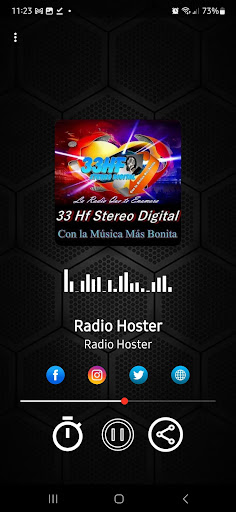 33 HF Stereo Digital Screen 2