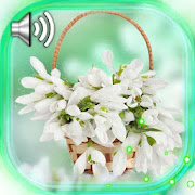 Snowdrops Spring Bouquet