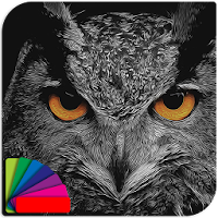 Theme - Night Owl